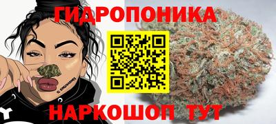 дурь Гай